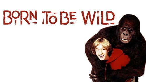 Born to Be Wild still