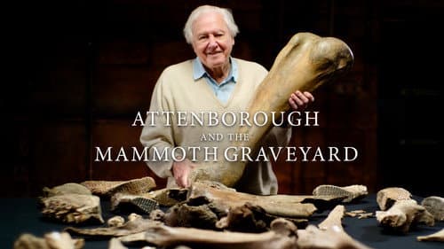 Attenborough and the Mammoth Graveyard still