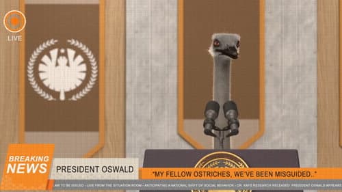 Ostrich Politic still
