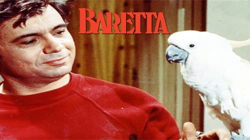 Baretta still