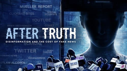 After Truth: Disinformation and the Cost of Fake News still