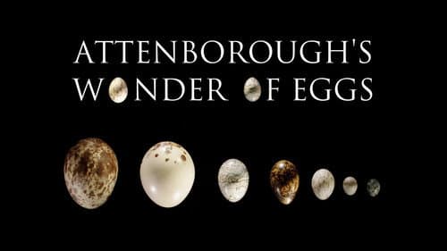 Attenborough's Wonder of Eggs still