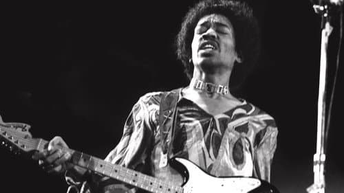 Woodstock: 3 Days That Changed Everything still