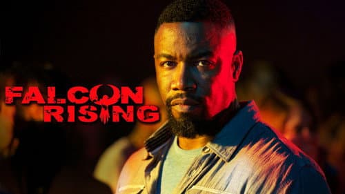 Falcon Rising still