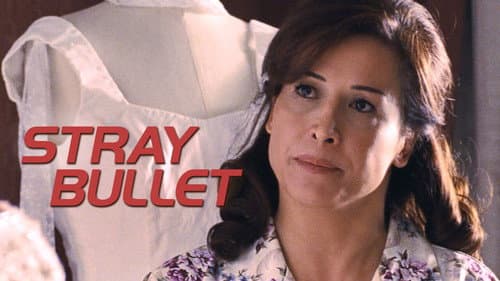 Stray Bullet still