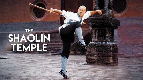 Shaolin Temple still