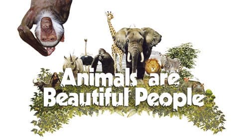 Animals Are Beautiful People still