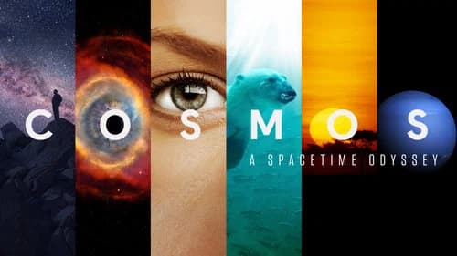 Cosmos still