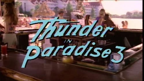 Thunder in Paradise 3 still