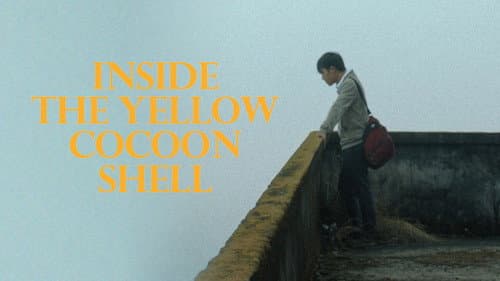 Inside the Yellow Cocoon Shell still