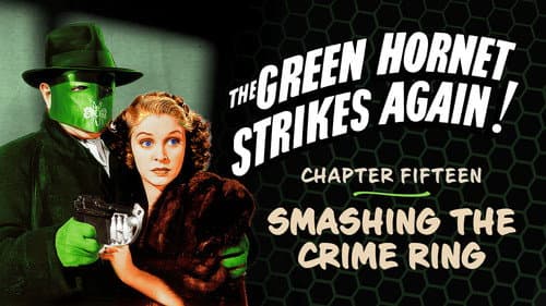 The Green Hornet Strikes Again! still