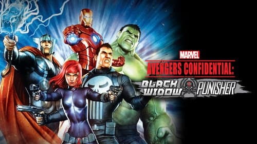 Avengers Confidential: Black Widow & Punisher still