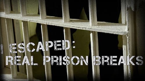 I Escaped: Real Prison Breaks still