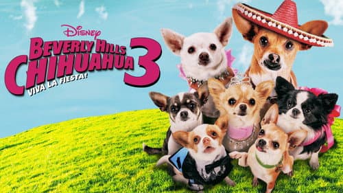 Beverly Hills Chihuahua 3: Viva la Fiesta! still