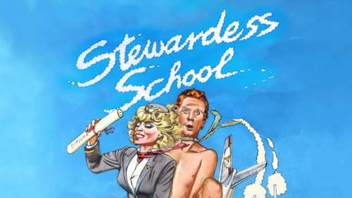 Stewardess School still