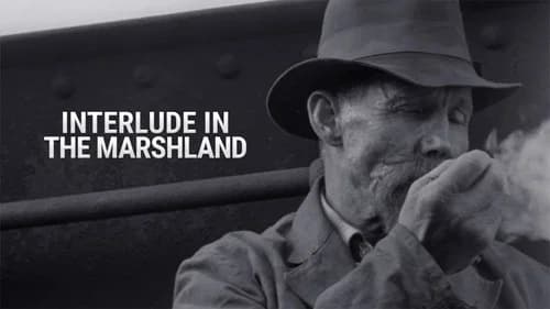 Interlude in the Marshland still