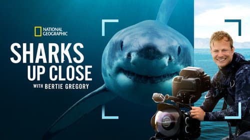 Sharks Up Close with Bertie Gregory still