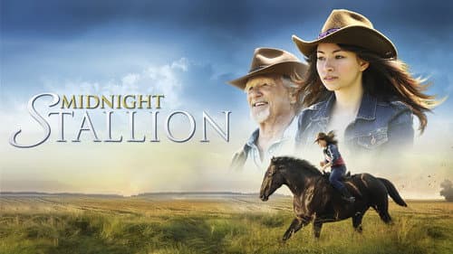 Midnight Stallion still