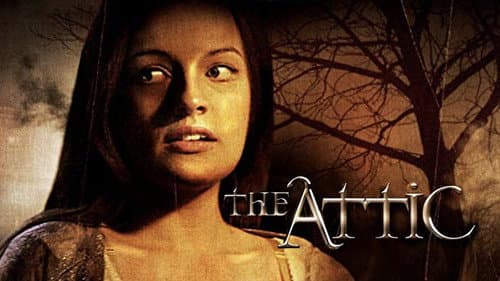 The Attic still