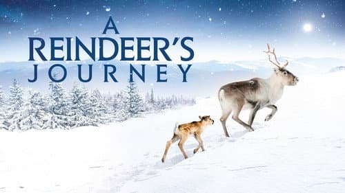 A Reindeer's Journey still