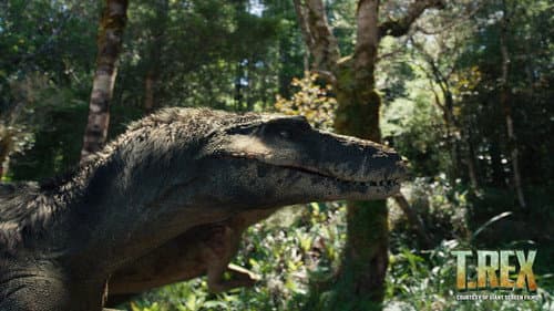 T. REX still