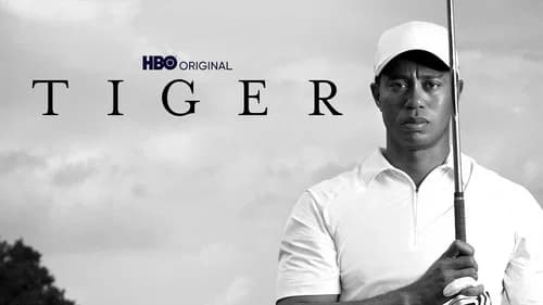 Tiger still