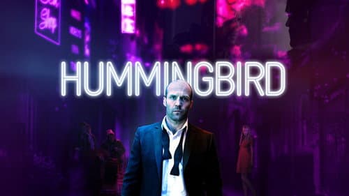 Hummingbird still