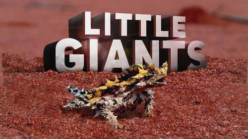 Little Giants still