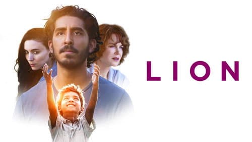 Lion still