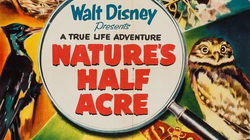 Nature's Half Acre still