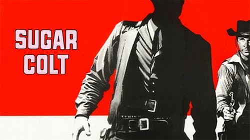 Sugar Colt still