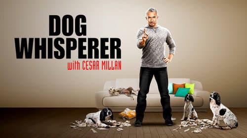 Dog Whisperer still