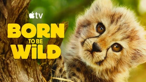 Born to Be Wild still
