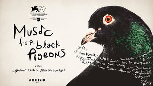Music for Black Pigeons still