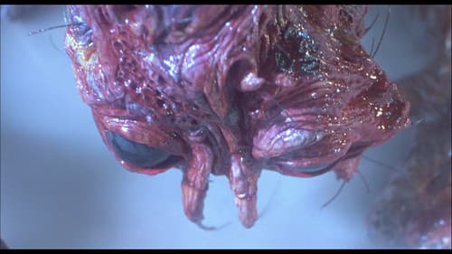 The Fly still
