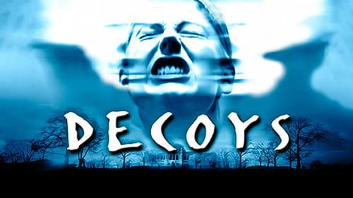 Decoys still