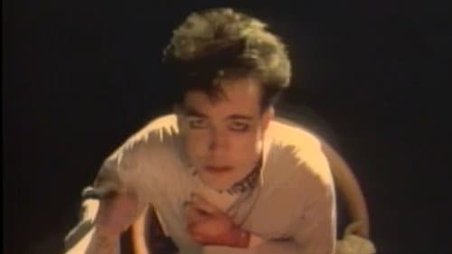 The Cure : Staring At The Sea - The Images still