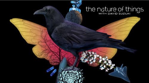 The Nature of Things still