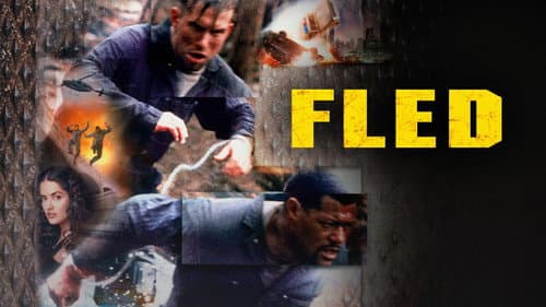 Fled still