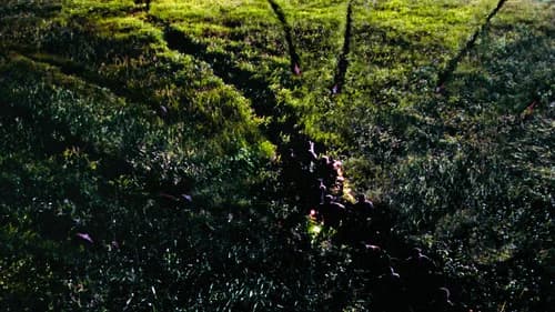 The Lost World: Jurassic Park still