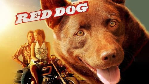 Red Dog still
