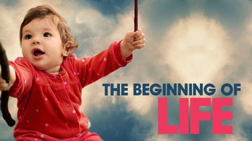 The Beginning of Life still
