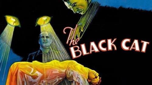 The Black Cat still