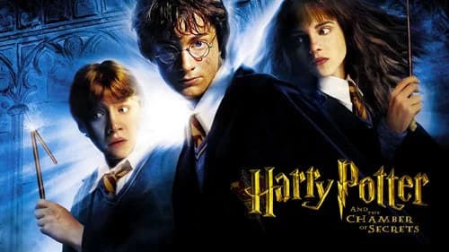 Harry Potter and the Chamber of Secrets still