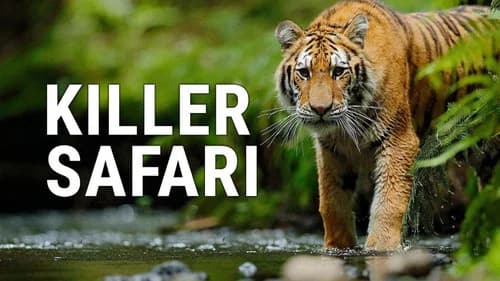 Killer Safari still