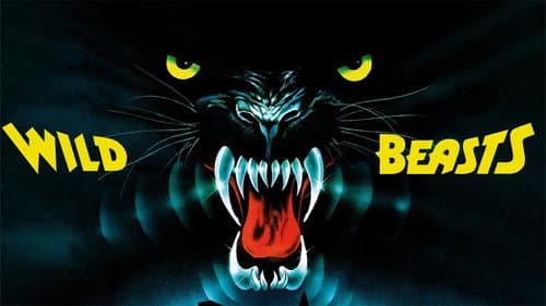 Wild Beasts still