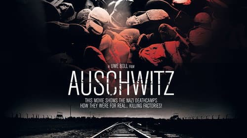 Auschwitz still