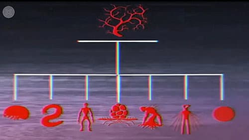 Vita Carnis - Living Meat Documentary still