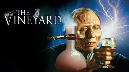 The Vineyard still