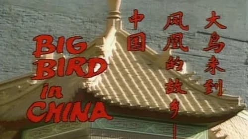 Big Bird in China still